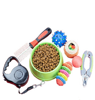 Pet Accessories