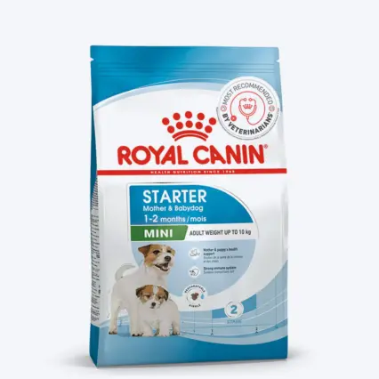 Royal Canin Mini Starter Mother & Puppy Dry Food